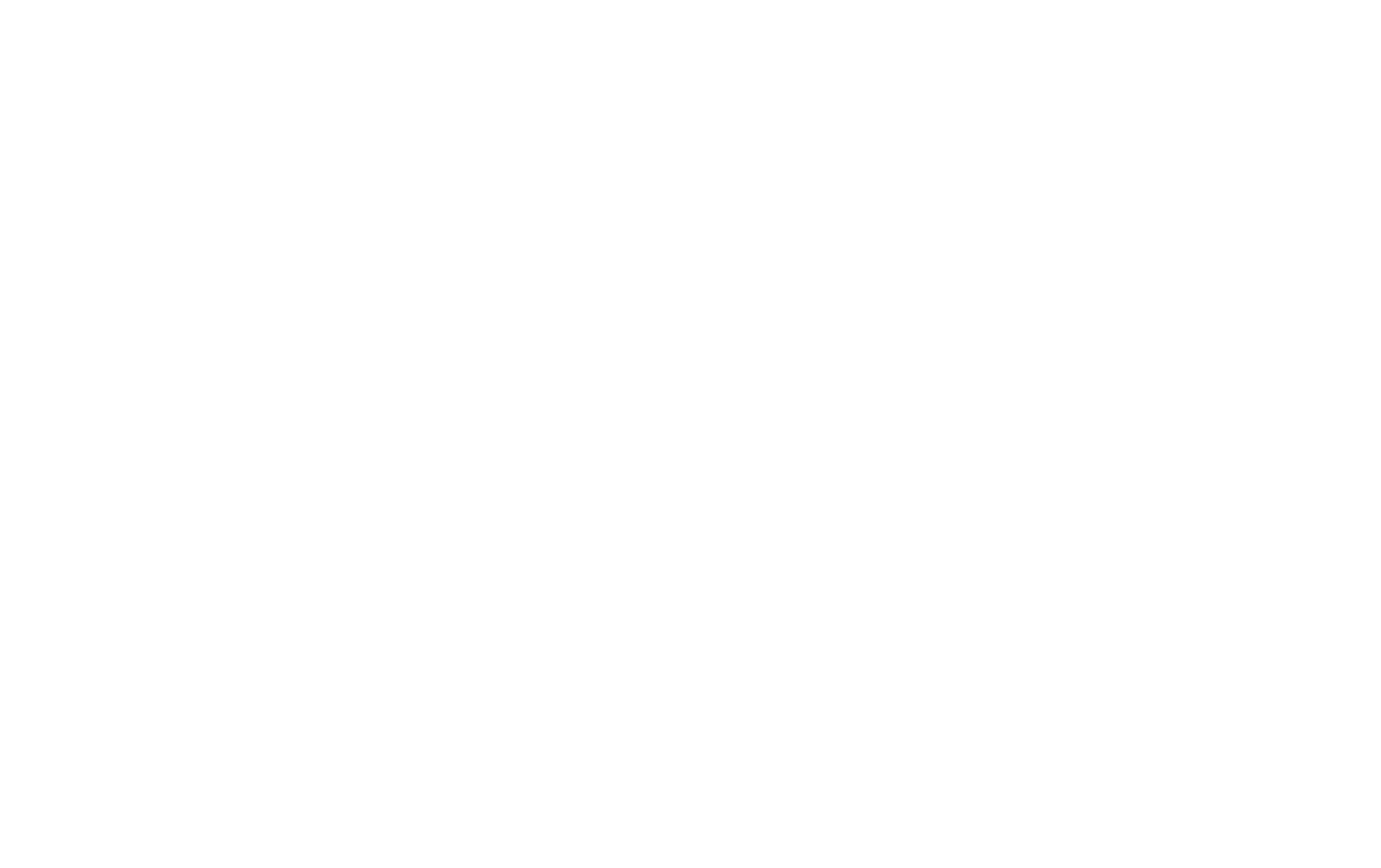 LOGO BRANCA
